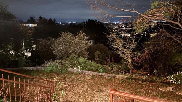 Un giardino con una recinzione in metallo, una panchina di legno e una pianta in vaso.