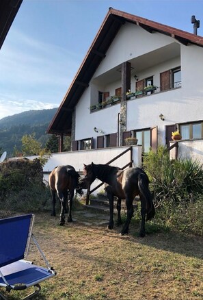 Exterior - La Perla dell'ALta Via Wohnung mit Park by Interhome (Borzonasca)
