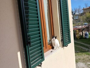 Exterior detail - Natur, Komfort und Entspannung by Interhome (Monticiano)
