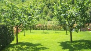 Property grounds - 'Villa Poesia by Interhome (Gallicano)