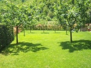 Property grounds - 'Villa Poesia by Interhome (Gallicano)