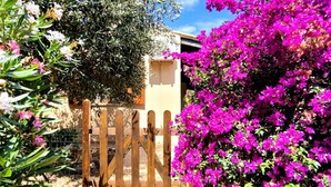 Property grounds - Terrazza Paradiso by Interhome (Costa Paradiso)