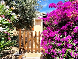 Property grounds - Terrazza Paradiso by Interhome (Costa Paradiso)
