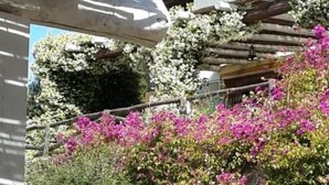 Exterior detail - Apartment Agnese by Interhome (Badesi)