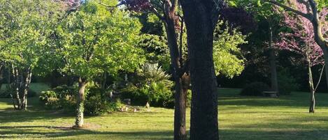 Overnattingsstedets uteområder