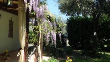 Parco della struttura