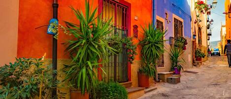 Jardines del alojamiento