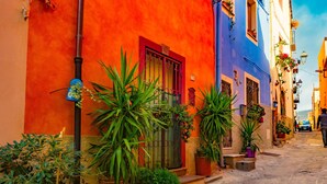 Una stretta via fiancheggiata da edifici colorati, piante in vaso e una persona che cammina.