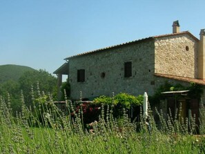 Exterior - Ein-Zimmer-Wohnung 'Ligoracce by Interhome (Castellina Marittima)