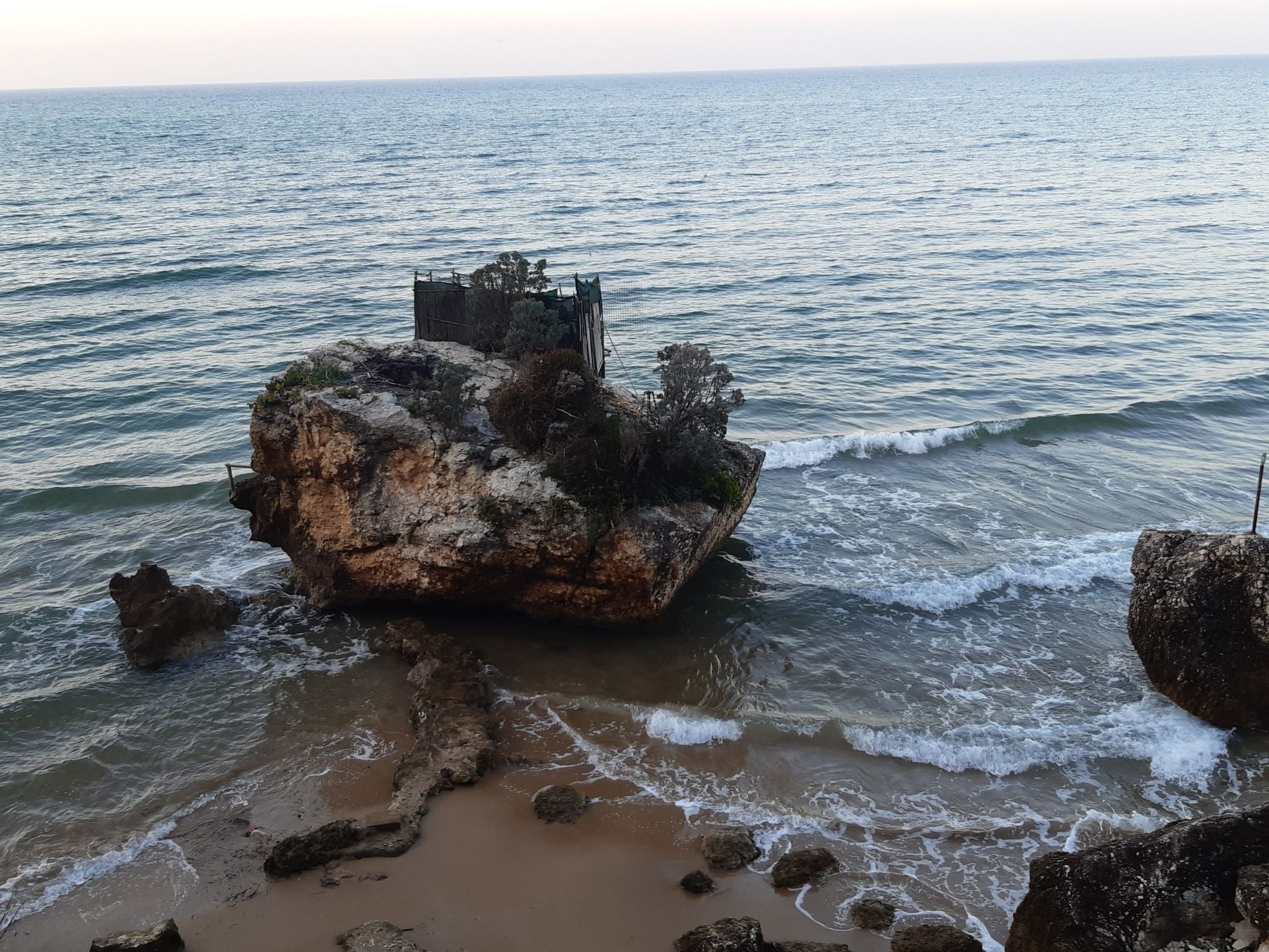 Miscelánea