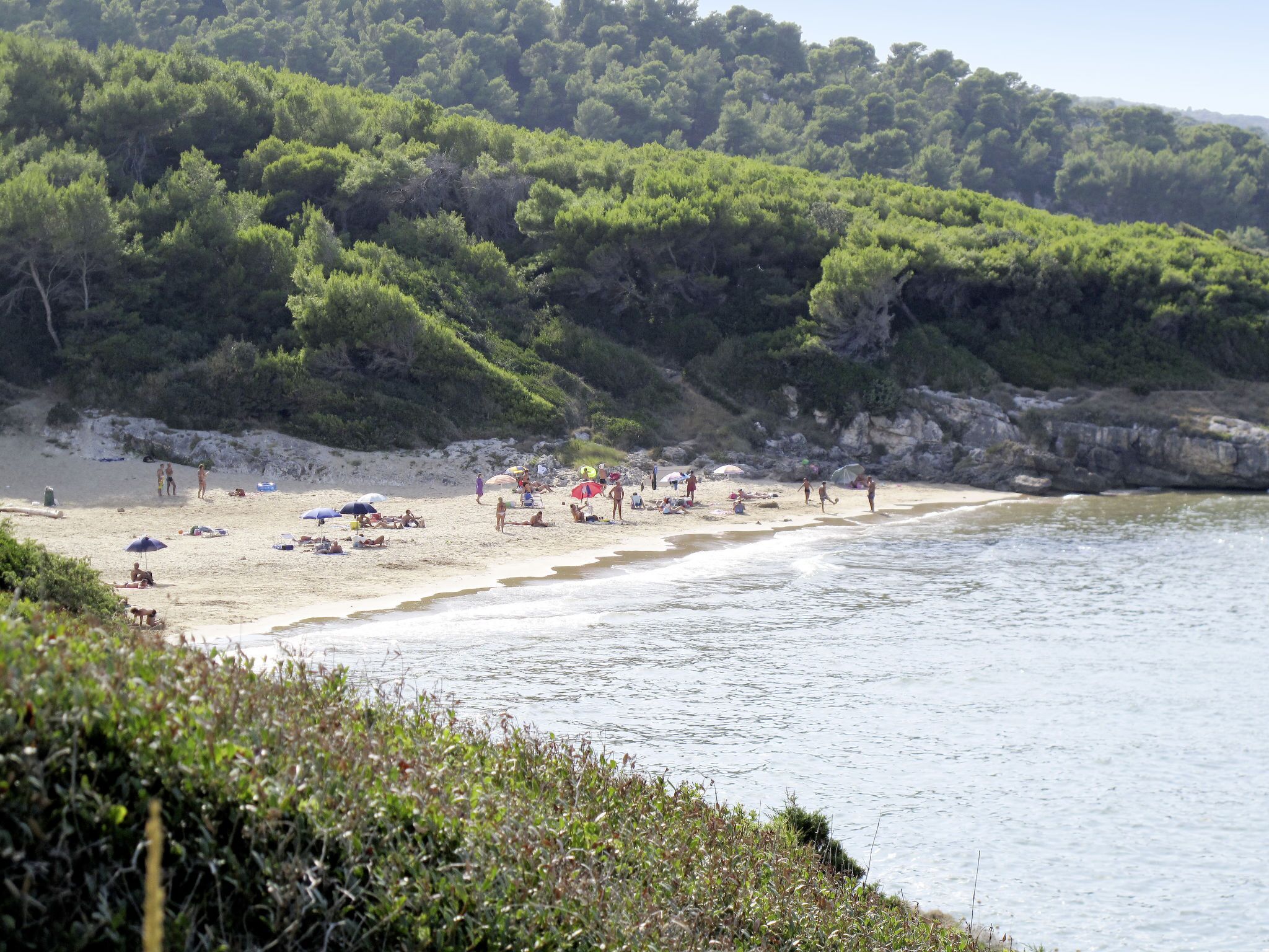 Une plage où l’on peut se détendre au soleil et se baigner, entourée de verdure et de falaises rocheuses.