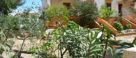 Terrein van de accommodatie