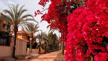 Jardines del alojamiento