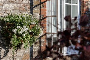 Detalle del exterior