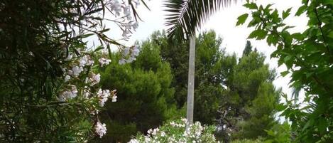 المنطقة المحيطة بالمنشأة