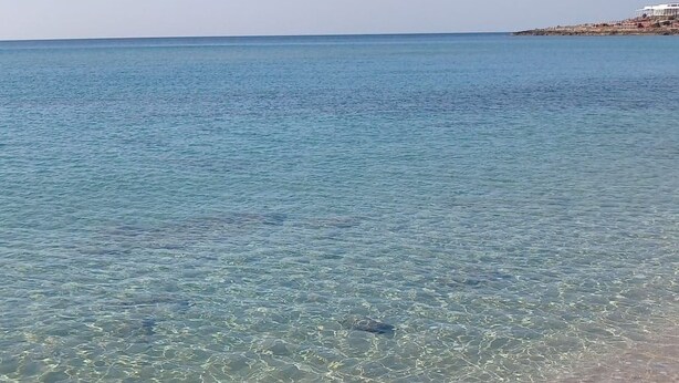 Spiaggia