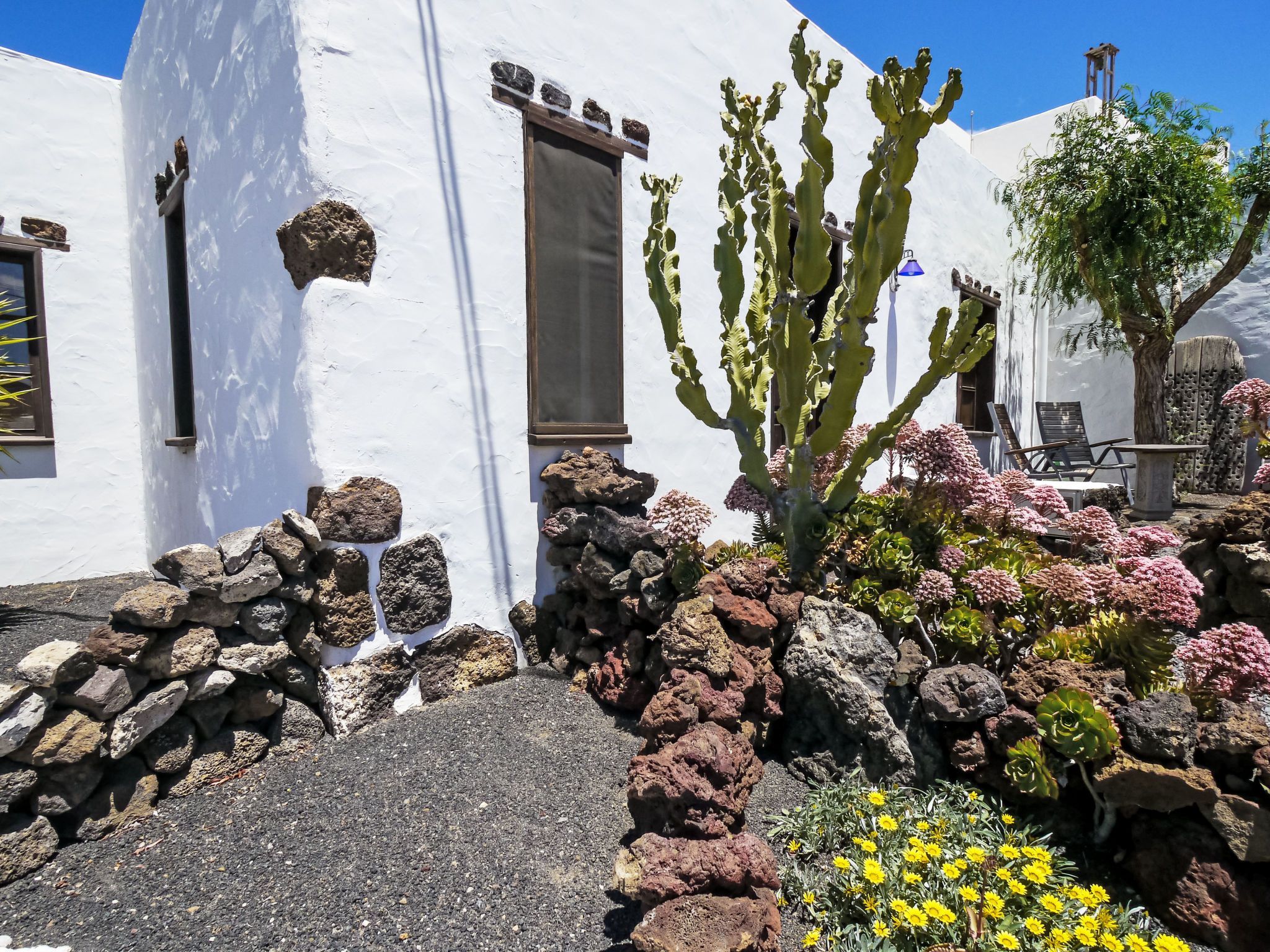 Un bâtiment blanc avec un jardin de cactus et un mur en pierre.