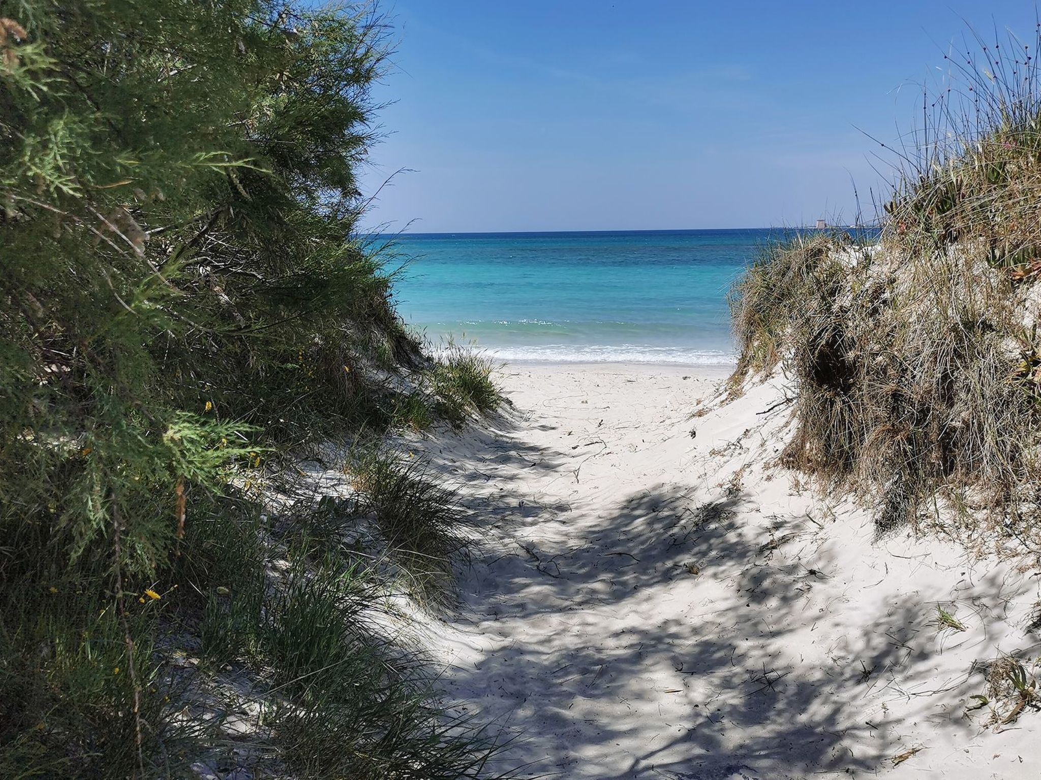 Strand