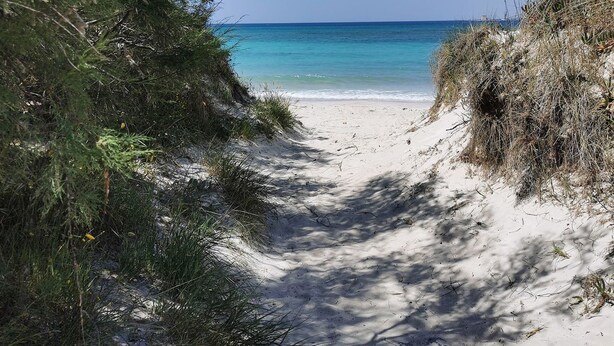 Beach - "Garden Suite" by Interhome (Porto Cesareo)