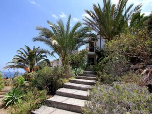 Property grounds - Casa Rural Hibisco by Interhome (Hermigua)