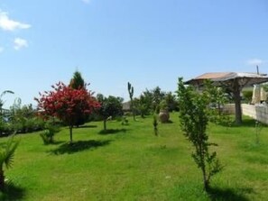 Property grounds - Wohnheim Heaven 51R by Interhome (Capo Vaticano)