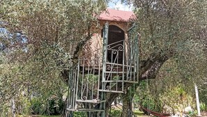 Een boomhuis met een metalen leuning en een rood dak, omgeven door weelderige beplanting.