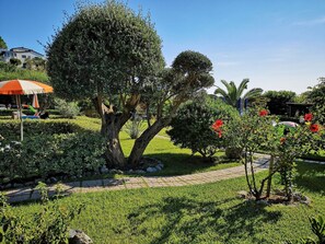 Property grounds - Zweizimmerwohnungen direkt am Meer by Interhome (Capo Vaticano)