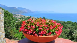 Property grounds - Traumvilla mit Panoramapool by Interhome (Vibonati)