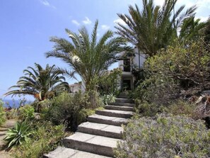 Property grounds - Casa El Cielo by Interhome (Hermigua)
