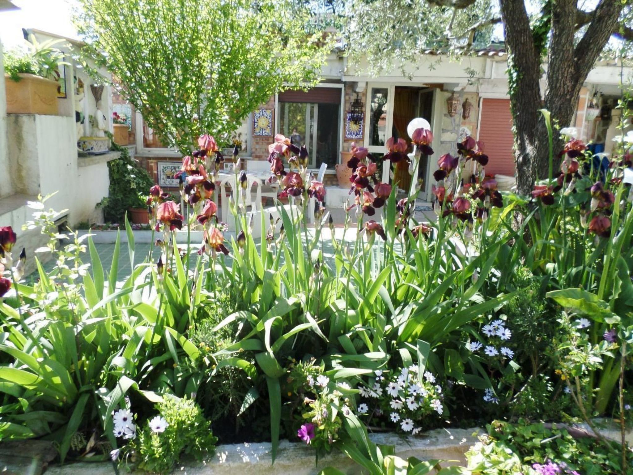 Parco della struttura