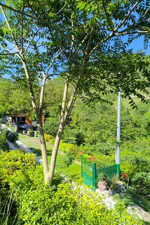 Property grounds - Wohnung 'Casale La Baiona by Interhome (Acqualagna)