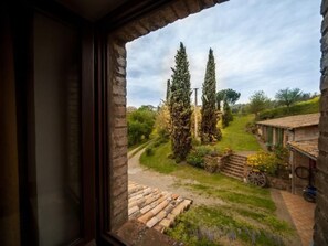 Interior - Studio für 2 bis 3 Personen by Interhome (Castel Cellesi)