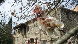 Immagine non classificata, 2 di 43, pulsante