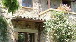 Immagine non classificata, 4 di 43, pulsante