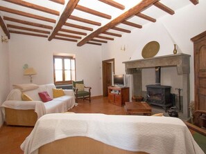 TV, fireplace, DVD player