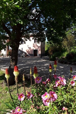 Property grounds - LaPorcilaia, Ferienwohnung mit Seeblick. by Interhome (Bagnoregio)
