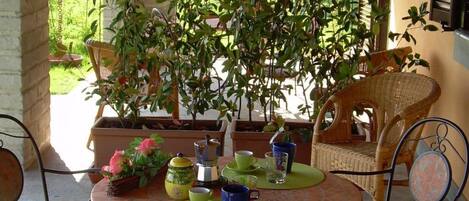 Terrace