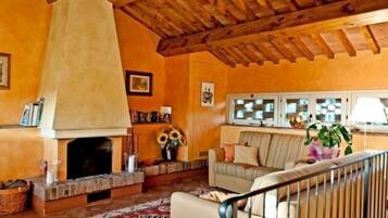 Cheminée, lecteur de DVD