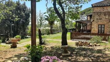 Área da propriedade