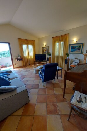 Televisión, chimenea y reproductor de DVD 