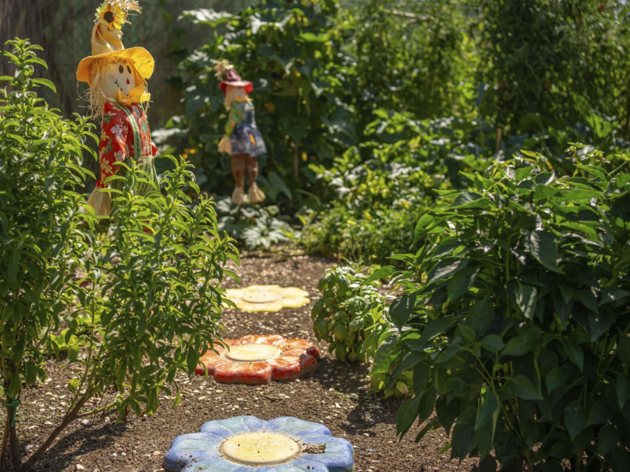 Parco della struttura