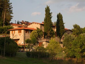 Esterni