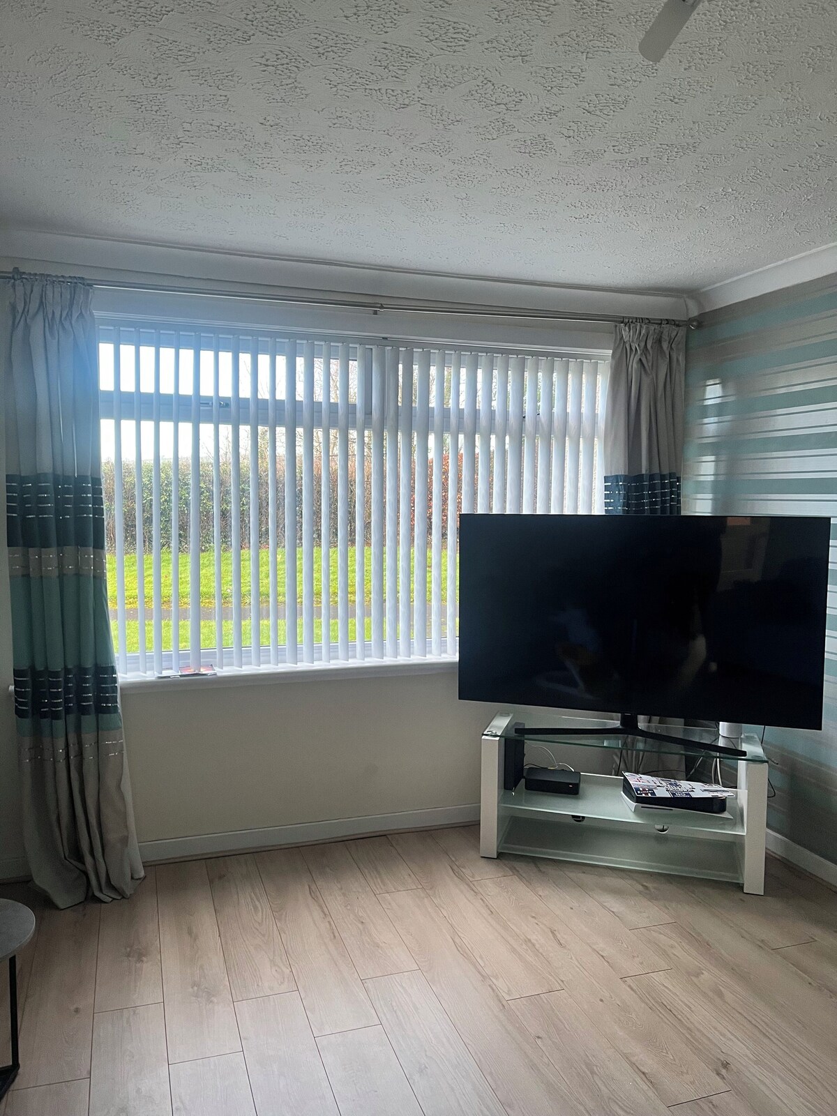 Imagen de perfil del propietario o de la propietaria