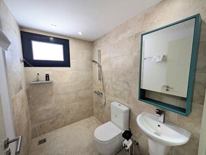 Shower, hair dryer, bidet, towels