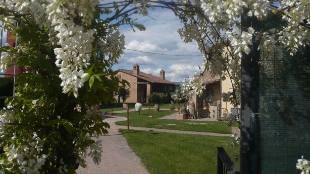 Property grounds - Haubentaucher by Interhome (Castiglione del Lago)