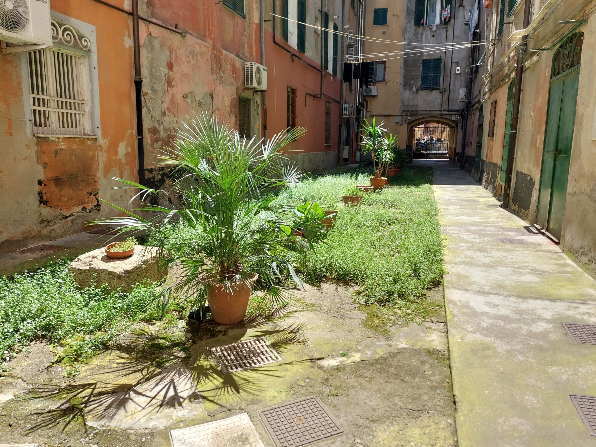 Terrain de l’hébergement 