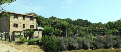 المنطقة المحيطة بالمنشأة