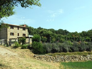 Property grounds - "Poggio del Fabbro by Interhome (Cortona)