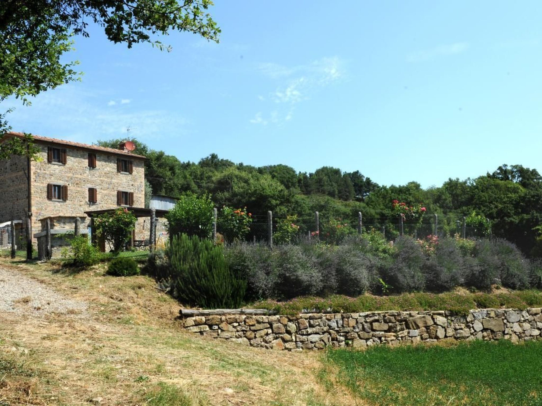 المنطقة المحيطة بالمنشأة