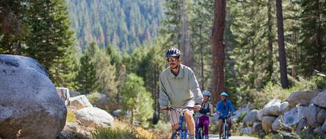 Un camino pavimentado con rocas grandes a los lados, rodeado por un bosque denso y árboles altos.